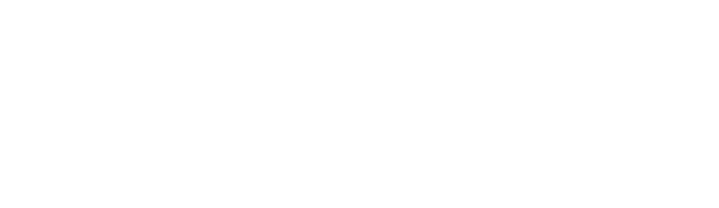 NewSouth Window Solutions